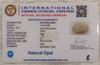 Natural White Opal 14.22Ratti| Oval Cabochone | Certified No. IGCDKBAJ42891 image 2