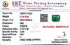 Natural Emerald | Rectangle Cut| Govt. Lab Certified No. SRGTL14523 image 2
