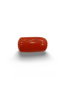 NaturalRed Coral | Certified| Oval CutGemstone Summary No. IGCDKBAJ44935 image 0