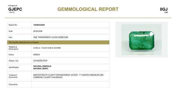 Natural Emerald |25H00| Govt. Lab Certified | Octagon Step Cut | Green Report No.12938D53289