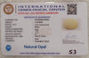 Natural White Opal 4.33 Ratti| Oval Cabochone | Certified No. IGCDKBAJ42954 image 2
