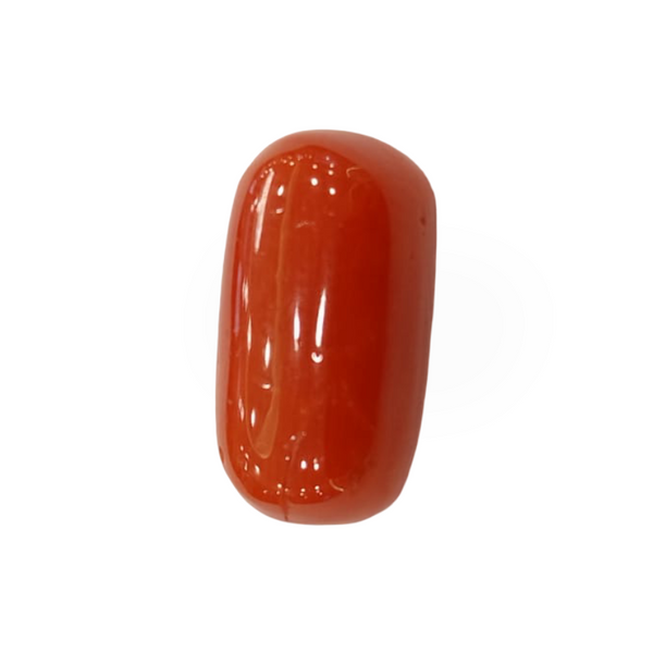 NaturalRed Coral | Certified|Oval CutGemstone Summary No. IGCDKBAJ44729 image 1