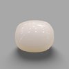 Natural White Coral: The Symbol of Peace and Strength Summary No IGCDKBAJ41480 image 0