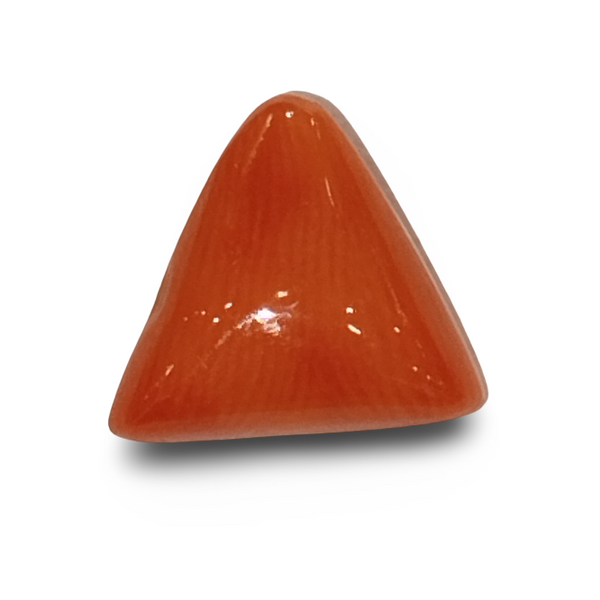 Natural Italian Red Coral | Certified Triangular Cabochon Moonga | Untreated Gemstone IGCDKBAJ42386 image 0