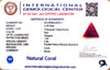Natural Italian Red Coral | Certified Triangular Cabochon Moonga | Untreated Gemstone IGCDKBAJ42411 image 1