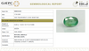 Natural Emerald | Govt. Lab Certified | Oval Mixed Cut | Green 8980D36561 image 1