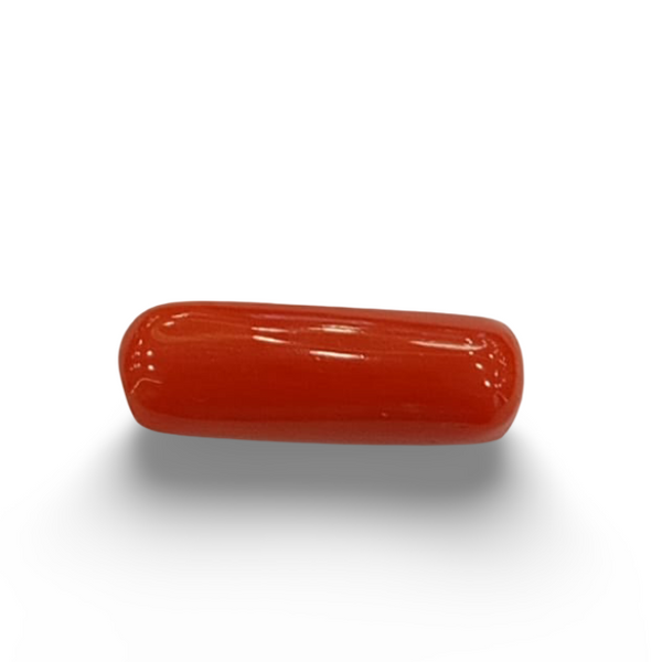 Natural Red Coral | Certified |Capsule Cut Gemstone Summary No. IGCDKBAJ44974 image 0