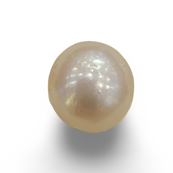 Natural South Sea Pearl – A Symbol of Elegance & Purity Summary No IGCDKBAJ42605 image 0