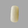 Natural White Coral: A Gemstone of Purity and Protection Summary No IGCDKBAJ41516 image 1