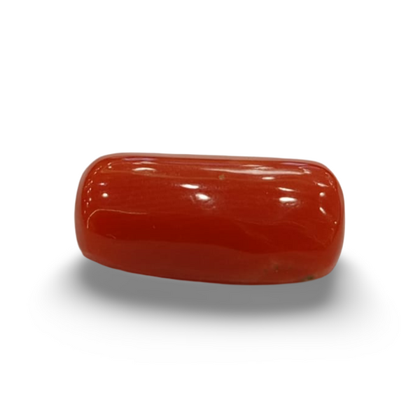 NaturalRed Coral | Certified| Capsule CutGemstone Summary No. IGCDKBAJ44900 image 0