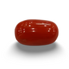 Natural Red Coral | Certified | Oval Cut Gemstone Summary No. IGCDKBAJ44889 image 0