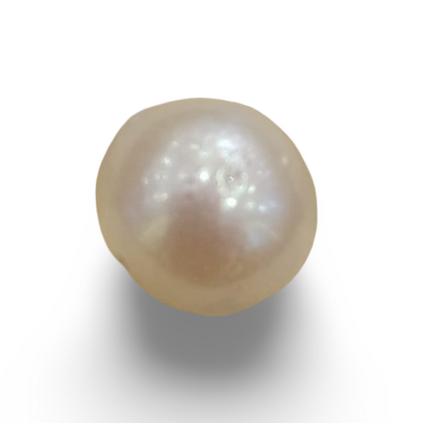 Natural South Sea Pearl – A Symbol of Elegance & Purity Summary No IGCDKBAJ42599 image 0