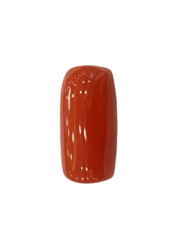 Natural Red Coral | Certified |Capsule Cut Gemstone Summary No. IGCDKBAJ46132 image 1