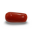 Natural Red Coral | Certified |Capsule Cut Gemstone Summary No. IGCDKBAJ44723 image 0
