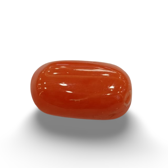 Natural Red Coral | Certified | Oval Cut Gemstone Summary No. IGCDKBAJ44898 image 0