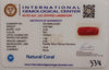 NaturalRed Coral | Certified| Oval CutGemstone Summary No. IGCDKBAJ44951 image 2
