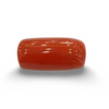 Natural Red Coral | Certified |Capsule Cut Gemstone Summary No. IGCDKBAJ46132 image 0