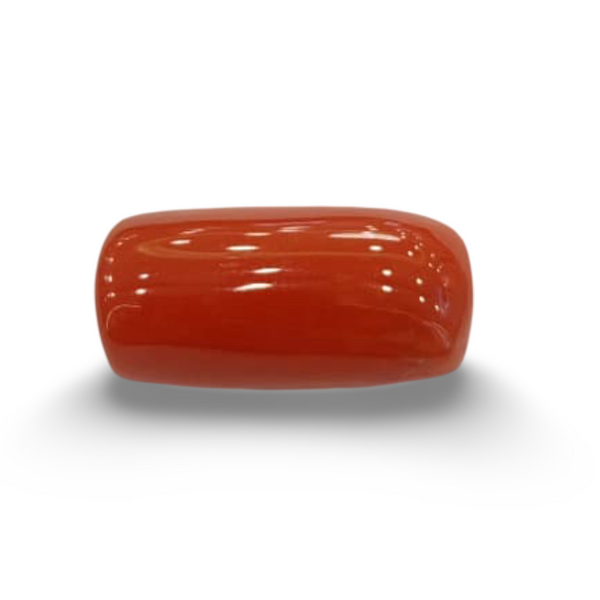 Natural Red Coral | Certified |Capsule Cut Gemstone Summary No. IGCDKBAJ46132 image 0
