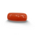 NaturalRed Coral | Certified| Capsule CutGemstone Summary No. IGCDKBAJ44866 image 0