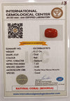 Natural Red Coral | Certified | Oval Cut Gemstone Summary No. IGCDKBAJ57875 image 2