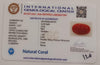NaturalRed Coral | Certified| Oval CutGemstone Summary No. IGCDKBAJ44731 image 2