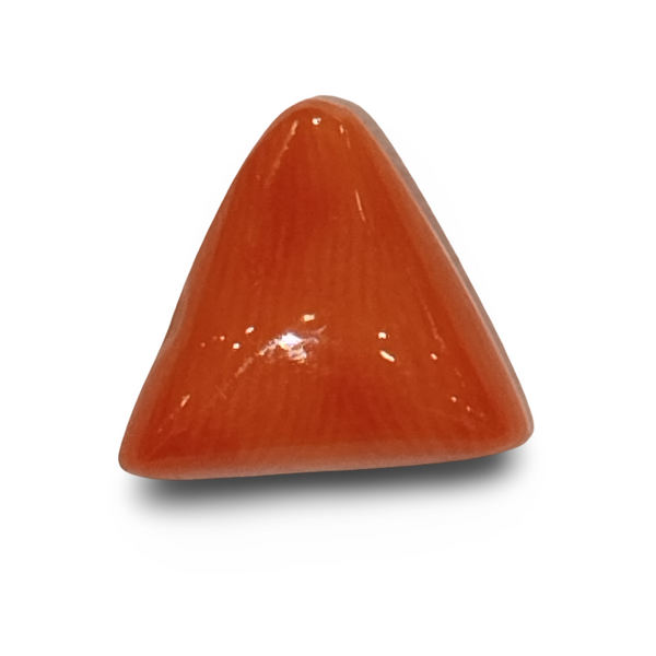 Natural Italian Red Coral | Certified Triangular Cabochon Moonga | Untreated Gemstone IGCDKBAJ42394 image 0