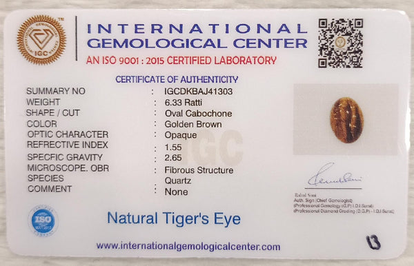 Tiger Eye The Essence of Grounding and Strength Summary No IGCDKBAJ41303 image 2