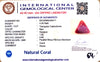 Natural Italian Red Coral | Certified Untreated | Triangular Cabochon No. IGCDKBAJ42417 image 1