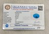 IGC certificate of authenticity IGCDKBAJ67423 Natural Turquoise 8.82 Ratti
