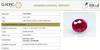 Natural Ruby |90H00|Oval Mixed | Untreated | Govt. Lab Certified |9581D38695