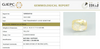 Natural Yellow Sapphire |KB 70k00|CushionMixed | Transparent | Govt. Lab Certified | Report No.12098D49162
