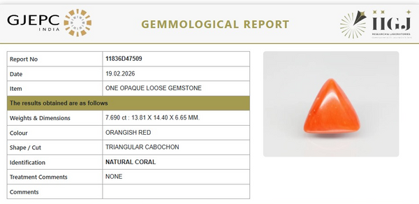 Natural Red Italian Coral |8H50|Triangular Cabochon | Govt. Lab Certified | Report No.11836D47509