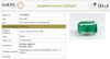 Natural Emerald |16H00| Govt. Lab Certified Octagon Step Report No- 11665D46870