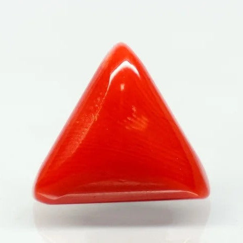 Natural Red Italian Coral |8H50| Triangular Cabochon | Govt. Lab Certified | Report No. 12675D51978