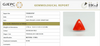 Natural Red Italian Coral |7H50| Triangular Cabochon | Govt. Lab Certified | Report No. 11858D47597