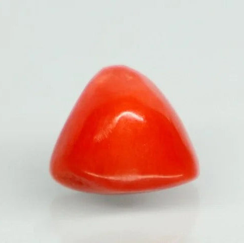 Natural Red Italian Coral |7H50| Triangular Cabochon | Govt. Lab Certified | Report No. 11858D47598