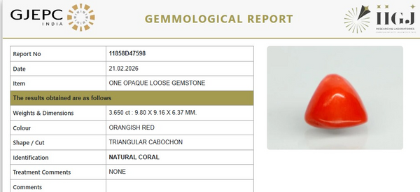Natural Red Italian Coral |7H50| Triangular Cabochon | Govt. Lab Certified | Report No. 11858D47598