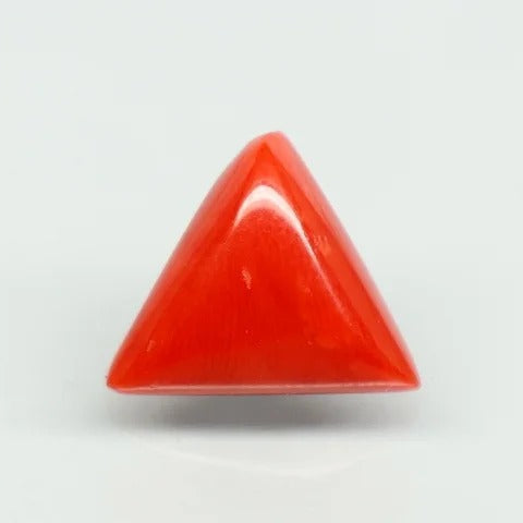 Natural Red Italian Coral |7H50| Triangular Cabochon | Govt. Lab Certified | Report No. 11775D47385