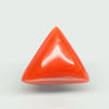 Natural Red Italian Coral |7H50| Triangular Cabochon | Govt. Lab Certified | Report No. 11775D47383