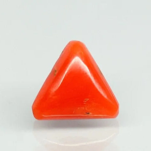 Natural Red Italian Coral |7H50| Triangular Cabochon | Govt. Lab Certified | Report No. 11858D47599