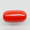 Natural Red Italian Coral |5H50| Oval Cabochon | Govt. Lab Certified | Report No. 11877D47660