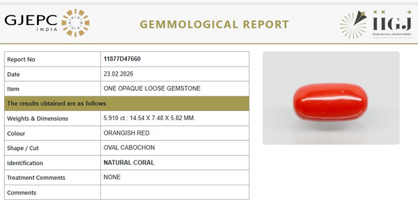 Natural Red Italian Coral |5H50| Oval Cabochon | Govt. Lab Certified | Report No. 11877D47660