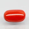 Natural Red Italian Coral |5H50| Oval Cabochon | Govt. Lab Certified | Report No. 11877D47657