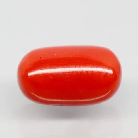 Natural Red Italian Coral |5H50| Oval Cabochon | Govt. Lab Certified | Report No. 11877D47657