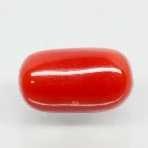 Natural Red Italian Coral |5H50| Cushion Cabochon | Govt. Lab Certified | Report No. 11877D47664