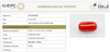 Natural Red Italian Coral |5H50| Cushion Cabochon | Govt. Lab Certified | Report No. 11877D47664