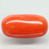 Natural Red Italian Coral |5H50| Oval Cabochon | Govt. Lab Certified | Report No. 12675D51966