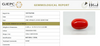 Natural Red Italian Coral |5H50| Oval Cabochon| Govt. Lab Certified | Report No. 11877D47666