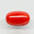 Natural Red Italian Coral |5H50| Oval Cabochon| Govt. Lab Certified | Report No. 11877D47662