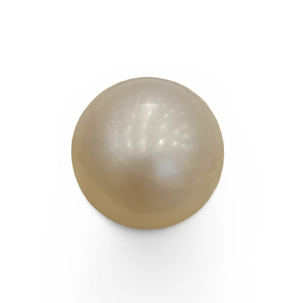 Natural South Sea Pearl – Gemwix By Tushar Gems